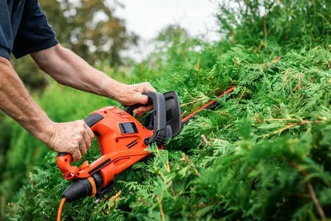 Smart Hedge Trimmers: The Future of Garden Tools?