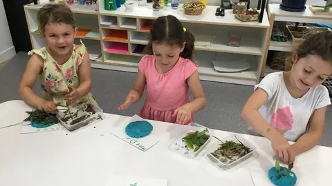 Top 10 Auckland Kindergartens Rated by Parents in 2025