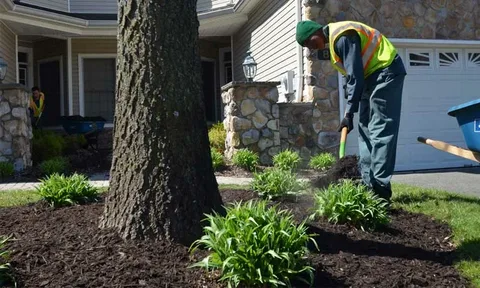 Transform Your Garden with Top Yard Maintenance Services Near Me