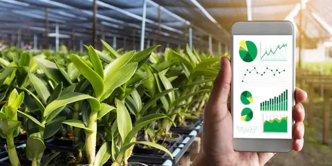 Smart Agriculture and Sustainability: A Perfect Match for the Planet